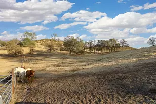 178 Carmel Rd, Burson, CA 95225 - Photo 55