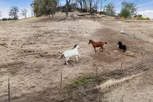 178 Carmel Rd, Burson, CA 95225 - Photo 65