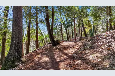 17028 Banner Quaker Hill Road, Nevada City, CA 95959 - Photo 71