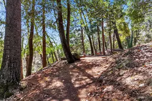 17028 Banner Quaker Hill Rd, Nevada City, CA 95959 - Photo 71