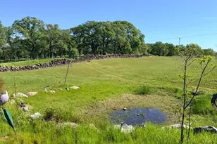 9556 Banderilla Dr, La Grange, CA 95329 - Photo 67