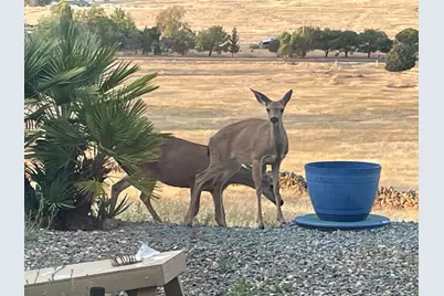 9556 Banderilla Drive, La Grange, CA 95329 - Photo 35