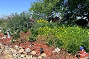 9556 Banderilla Dr, La Grange, CA 95329 - Photo 51