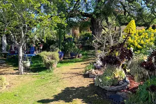 9556 Banderilla Dr, La Grange, CA 95329 - Photo 63