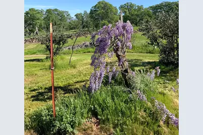 9556 Banderilla Drive, La Grange, CA 95329 - Photo 71