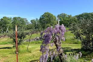 9556 Banderilla Dr, La Grange, CA 95329 - Photo 71