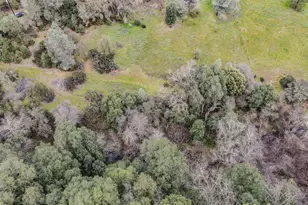 13890 Shake Ridge Rd, Sutter Creek, CA 95685 - Photo 57