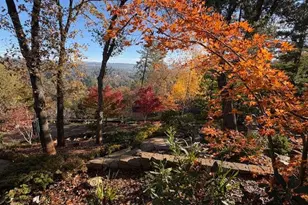 3101 Cribbs Ct, Placerville, CA 95667 - Photo 47