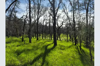 7411 Riverbend Drive, Placerville, CA 95667 - Photo 11