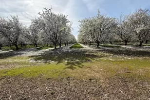 18413 Sycamore Ave, Patterson, CA 95363 - Photo 93