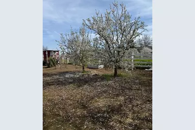 18413 Sycamore Avenue, Patterson, CA 95363 - Photo 89