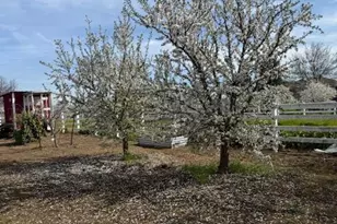 18413 Sycamore Ave, Patterson, CA 95363 - Photo 89