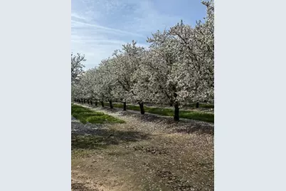 18413 Sycamore Avenue, Patterson, CA 95363 - Photo 97