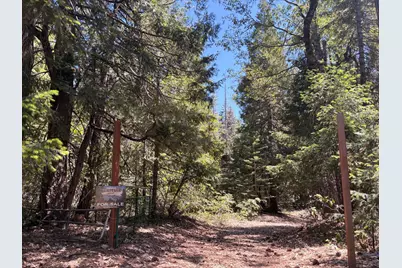 14666 Woolford Mill Road, Nevada City, CA 95959 - Photo 3