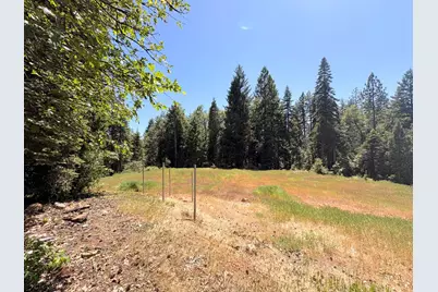 14666 Woolford Mill Road, Nevada City, CA 95959 - Photo 9