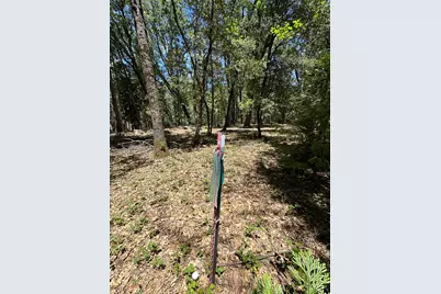 10441 Rim Rock Lane, Nevada City, CA 95959 - Photo 29
