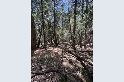 10441 Rim Rock Lane, Nevada City, CA 95959 - Photo 37