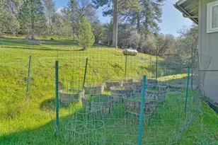 2869 Cascade Trail, Cool, CA 95614 - Photo 71