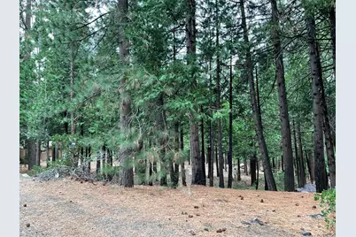 3065 Apache Road, Arnold, CA 95223 - Photo 1