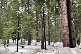 3065 Apache Rd, Arnold, CA 95223 - Photo 1