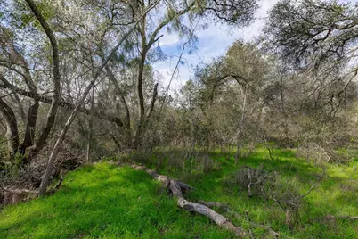 5209 Brookfield Circle, Rocklin, CA 95677 - Photo 73