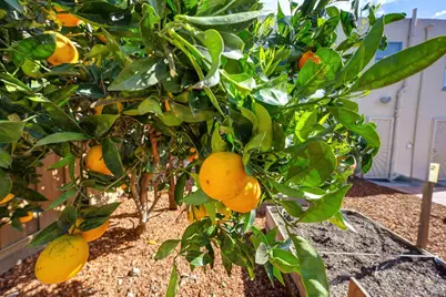 1053 San Jose Street, San Leandro, CA 94577 - Photo 65