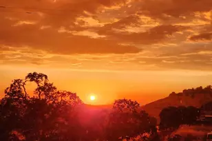 9212 Banderilla Dr, La Grange, CA 95329 - Photo 61