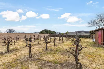 1555 Sand Lane, Manteca, CA 95337 - Photo 77