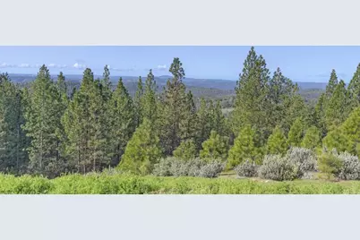 5901 Traverse Creek Road, Garden Valley, CA 95633 - Photo 97