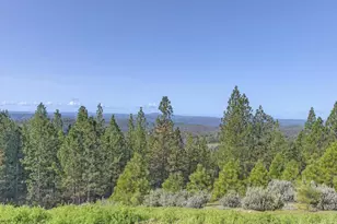 5901 Traverse Creek Rd, Garden Valley, CA 95633 - Photo 97