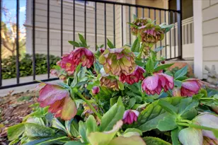 225 Mallard Dr, Grass Valley, CA 95945 - Photo 55