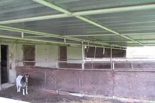 12501 Lee School Cross Rd, Wilton, CA 95693 - Photo 13