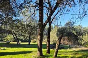 10402 Newtown Rd, Nevada City, CA 95959 - Photo 35