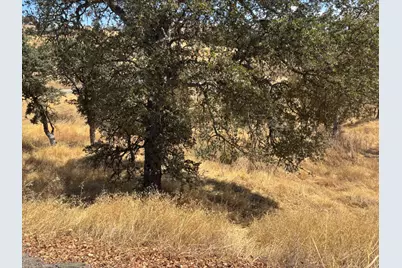 1122 Acorn Street, Copperopolis, CA 95228 - Photo 7