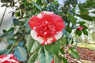 14017 Lague Ln, Grass Valley, CA 95949 - Photo 59