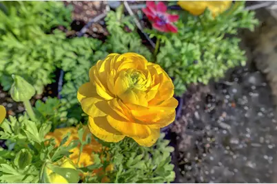 14017 Lague Lane, Grass Valley, CA 95949 - Photo 69