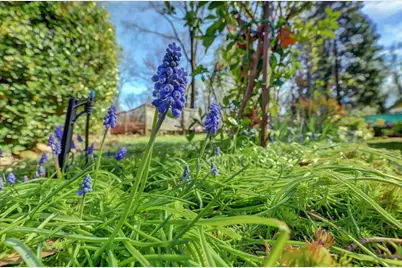 14017 Lague Lane, Grass Valley, CA 95949 - Photo 65
