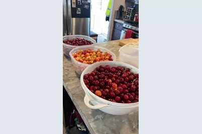 Lake Road #74, West Sacramento, CA 95691 - Photo 31