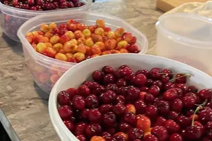 Lake Rd, West Sacramento, CA 95691 - Photo 31