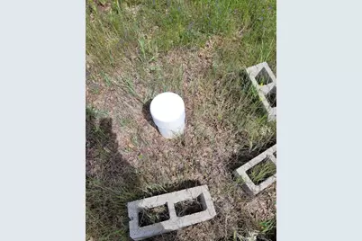 4465 Burl Drive, Mariposa, CA 95338 - Photo 5