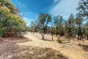 76 Stoney Oaks Blvd, Oroville, CA 95966 - Photo 49