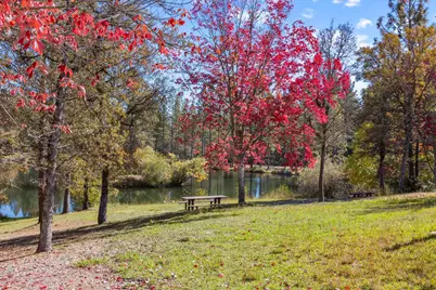 12423 Lowhills Road, Nevada City, CA 95959 - Photo 57