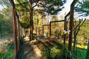 3254 Clark St, Placerville, CA 95667 - Photo 9