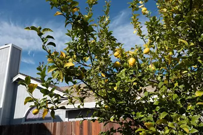 8625 Valley Rim Way, Antelope, CA 95843 - Photo 29