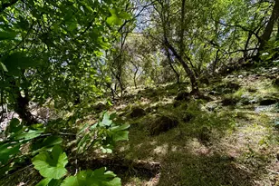 14988 Lakefront Dr, Jamestown, CA 95327 - Photo 33