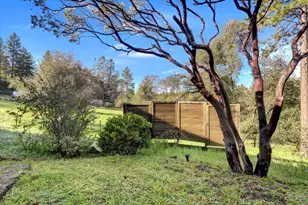 18814 Norlene Way, Grass Valley, CA 95949 - Photo 59