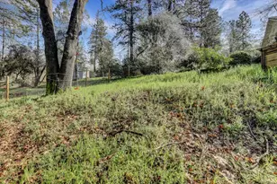 18814 Norlene Way, Grass Valley, CA 95949 - Photo 63