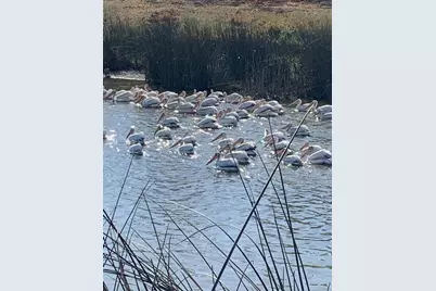 Lake Road #197, West Sacramento, CA 95691 - Photo 37