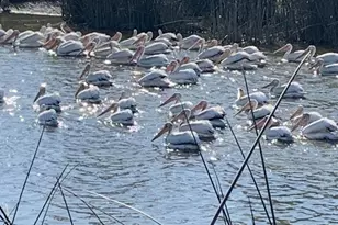 Lake Rd, West Sacramento, CA 95691 - Photo 37