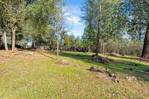 22848 Elk Trail E, Redding, CA 96003 - Photo 53